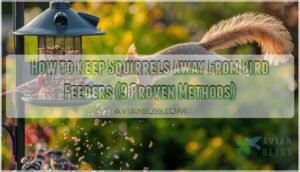 how to keep squirrels away from bird feeders