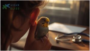 how to listen for abnormal breathing sounds how to listen for abnormal breathing sounds