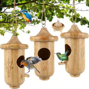 Hummingbird House for Outside Hanging, B0BS3TFYNT