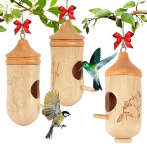Hummingbird House, Small Hummingbird Houses B0DCRT6GR4