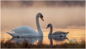 identifying juveniles versus adults identifying juveniles versus adults