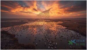 importance of stopover sites importance of stopover sites