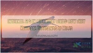 internal gps in migratory birds internal gps in migratory birds