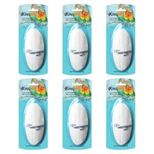 Jmxu's 5" 5.5" Bird Cuttlebone for B0829SV9HG