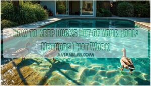 keeping ducks out of pools keeping ducks out of pools