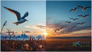 key bird species with seasonal migration key bird species with seasonal migration