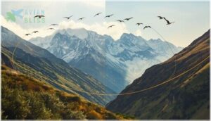 latitudinal and altitudinal movements latitudinal and altitudinal movements