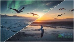 latitudinal vs. longitudinal migration latitudinal vs. longitudinal migration