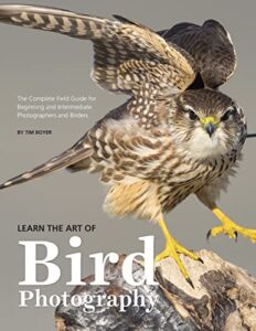 Learn the Art of Bird 1985582236