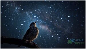 learning the night sky during development learning the night sky during development