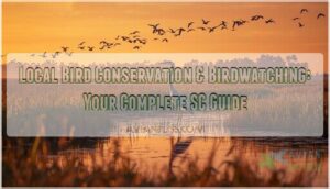 local bird conservation birdwatching local bird conservation birdwatching