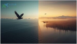 long-distance vs. short-distance migrants long-distance vs. short-distance migrants