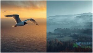 long-distance vs. short-distance migration long-distance vs. short-distance migration