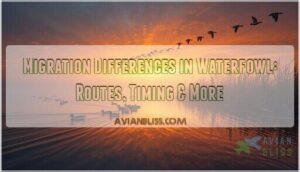 migration differences in waterfowl migration differences in waterfowl