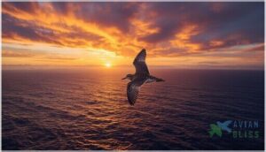 migration patterns and behavior migration patterns and behavior