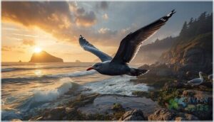 natural habitat and distribution natural habitat and distribution