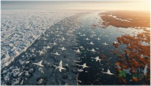 natural habitat and geographic range natural habitat and geographic range