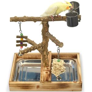 Natural Wood Bird Toys Playground, B0B1PKXVZ4
