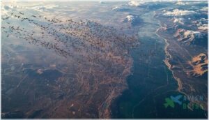 north american flyways north american flyways