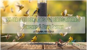 nyjer seed benefits for birds nyjer seed benefits for birds