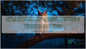 owls in maryland owls in maryland