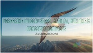 peregrine falcon peregrine falcon