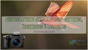 photographing birds in flight photographing birds in flight