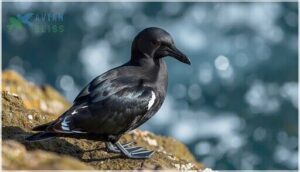 physical characteristics physical characteristics