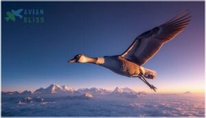 physiological adaptations for high-altitude flight physiological adaptations for high-altitude flight