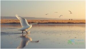 population status and conservation population status and conservation