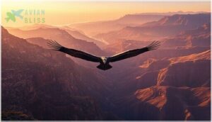 preferred habitats and landscapes preferred habitats and landscapes