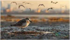 reduced availability of stopover sites reduced availability of stopover sites