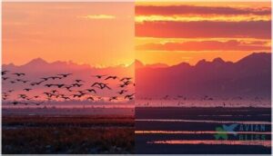 regional and latitude-based differences regional and latitude-based differences