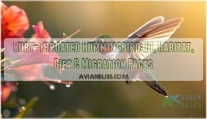 ruby throated hummingbird ruby throated hummingbird