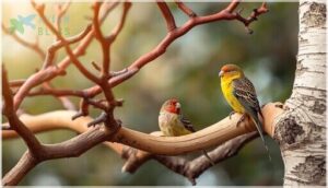 safe natural woods for small birds safe natural woods for small birds
