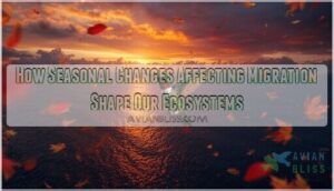 seasonal changes affecting migration seasonal changes affecting migration