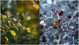 seasonal changes in bird diets seasonal changes in bird diets