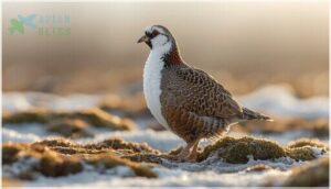 seasonal color changes and molting seasonal color changes and molting