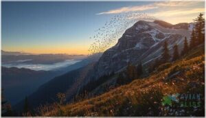 seasonal movement strategies seasonal movement strategies