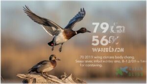 size, weight, and measurements size, weight, and measurements