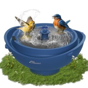 Solar Bird Bath with Fountain B0FCYGPK5W