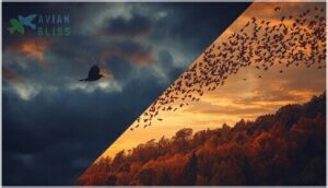 solitary vs. flock migration strategies solitary vs. flock migration strategies