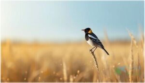 species overview and taxonomy species overview and taxonomy