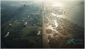 species-specific migration routes species-specific migration routes