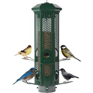 Squirrel Proof Bird Feeders with B0F297YJBZ