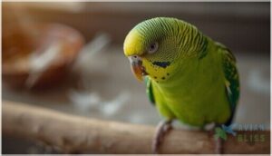 step 3–4: watch for behavioral changes step 3–4: watch for behavioral changes