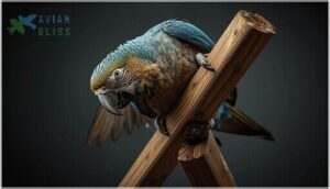 structural issues and instability structural issues and instability