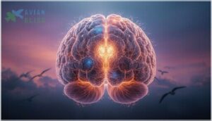 structure and function of olfactory bulbs structure and function of olfactory bulbs