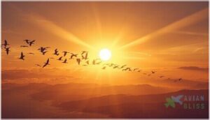 sun compass and bird migration patterns sun compass and bird migration patterns