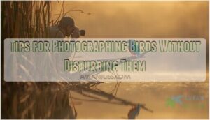tips for photographing birds without disturbing them tips for photographing birds without disturbing them